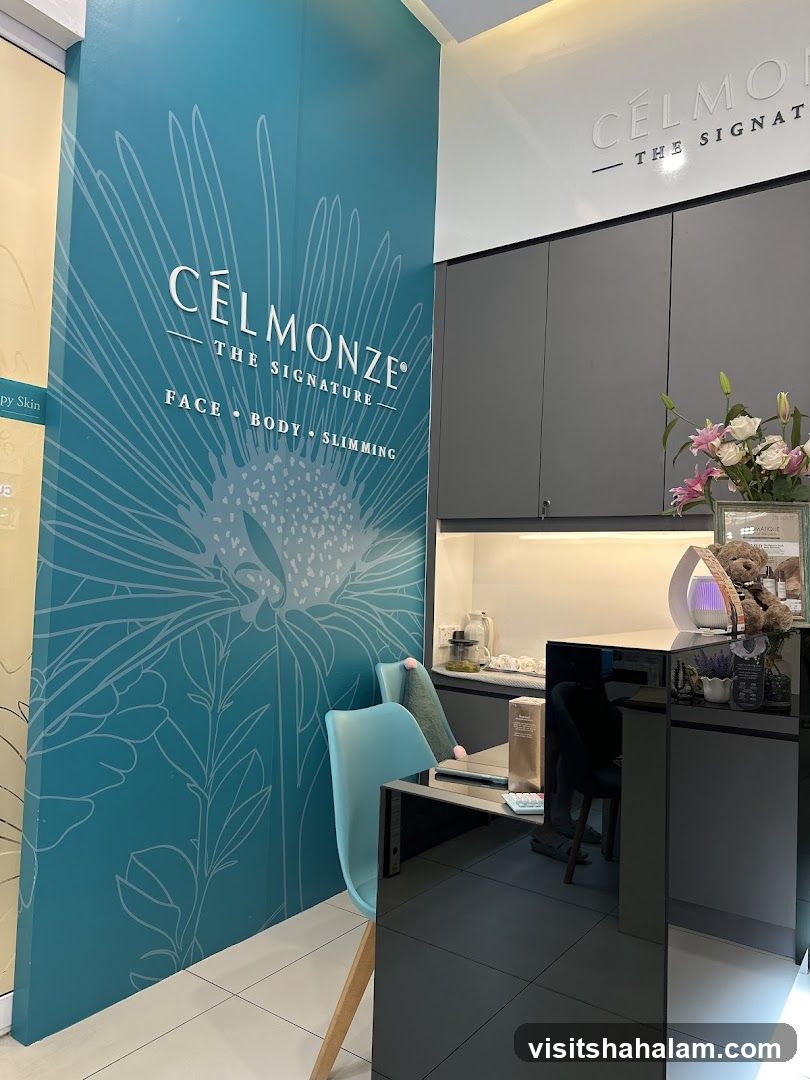 Celmonze The Signature Reception Area