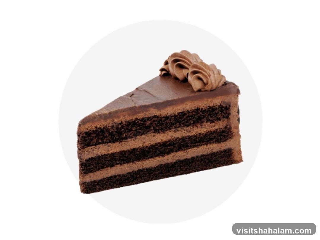 Chocolate Cake Slice