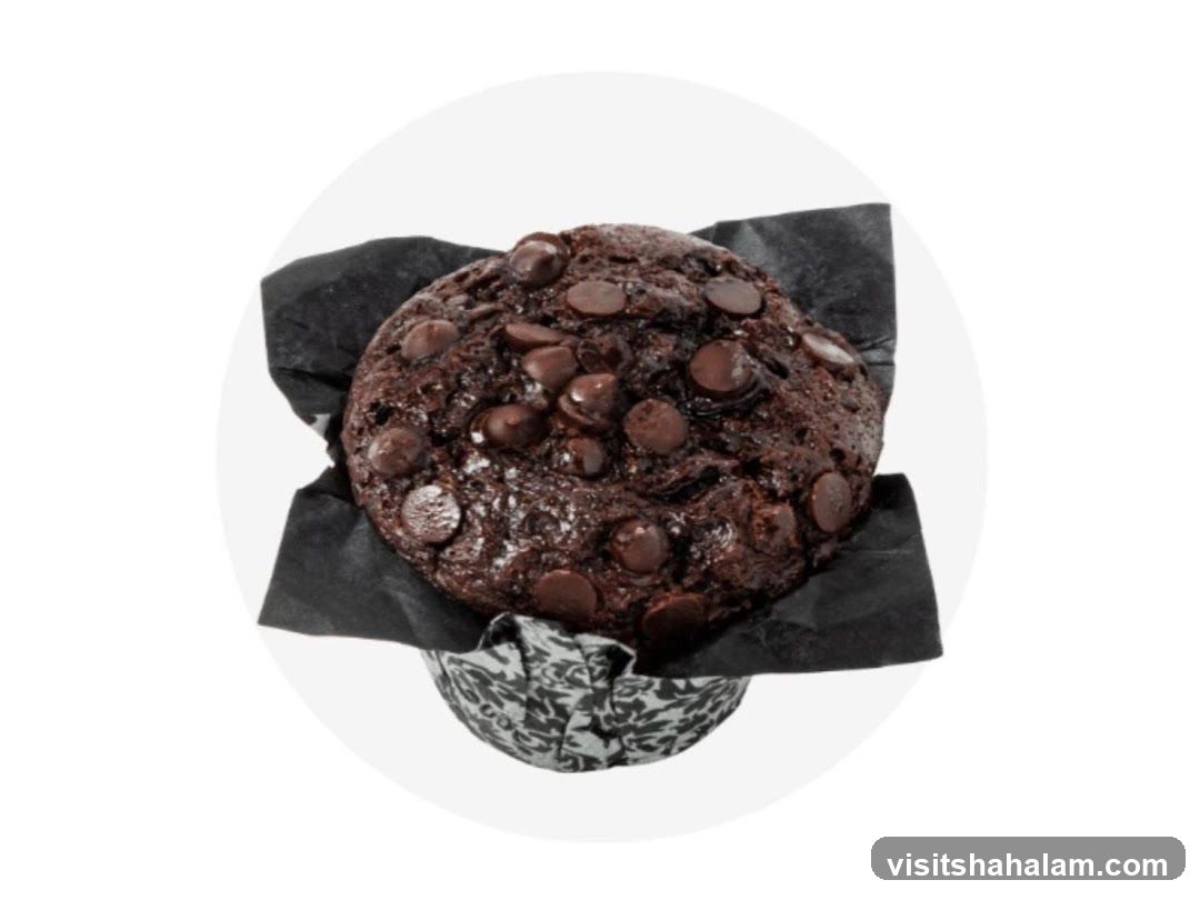 Chocolate Chip Muffin
