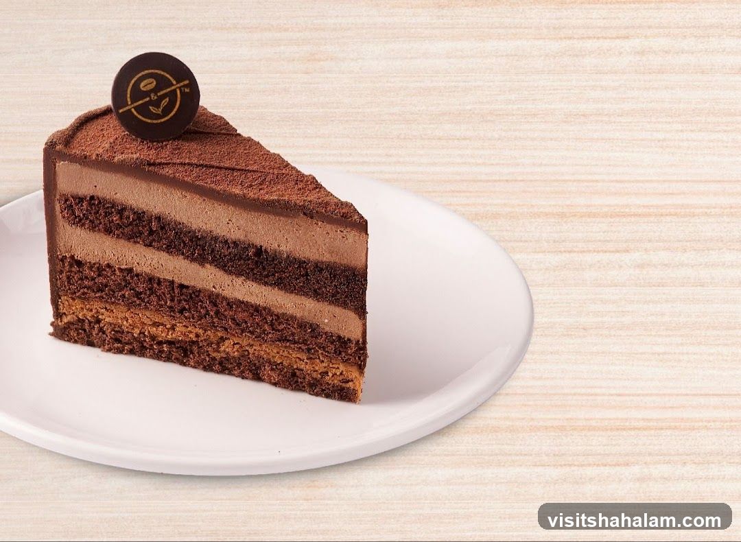 Chocolate Cake Slice