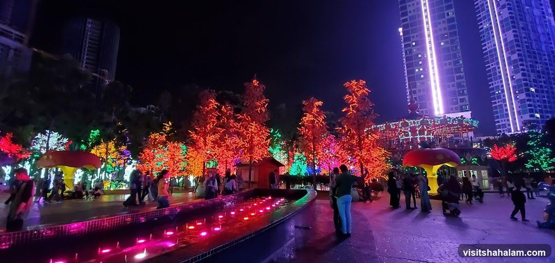 Nighttime park with illuminated trees and buildings