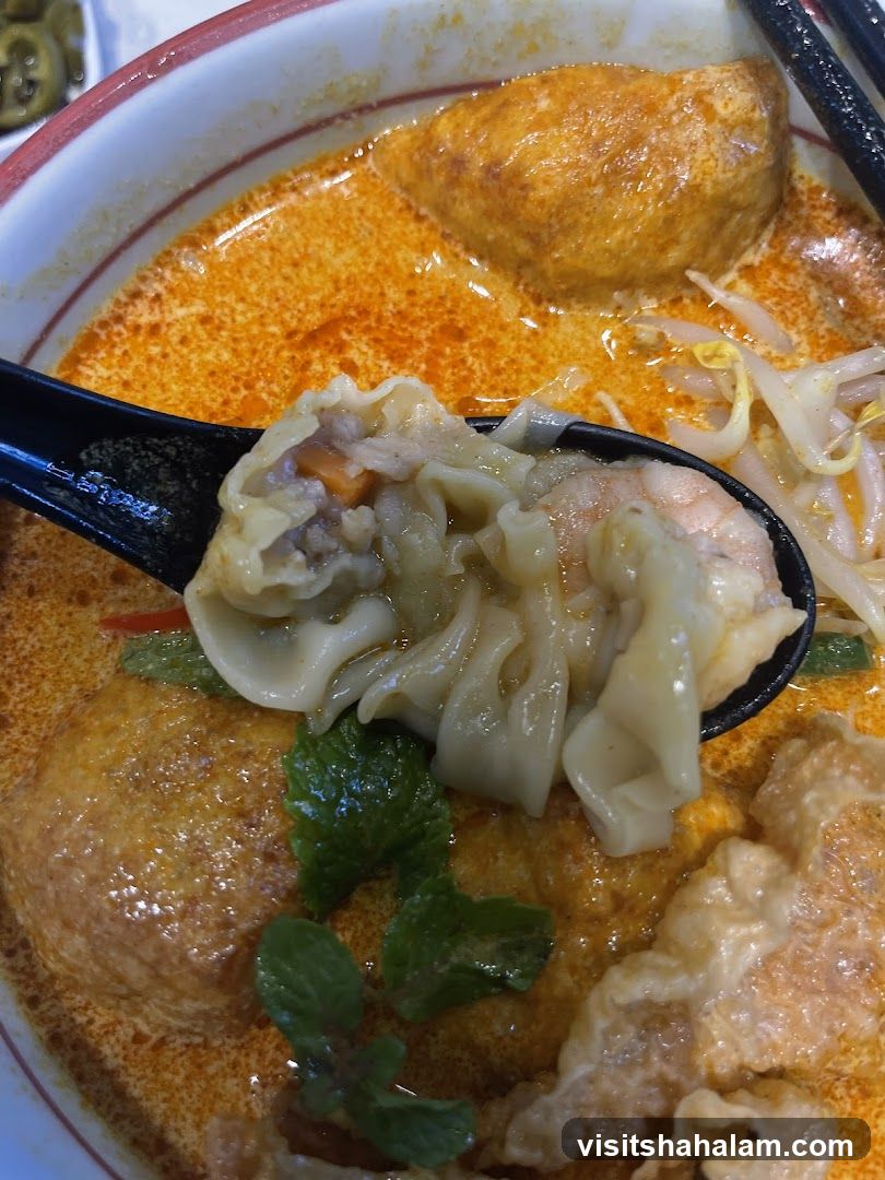 Curry Laksa with Wonton