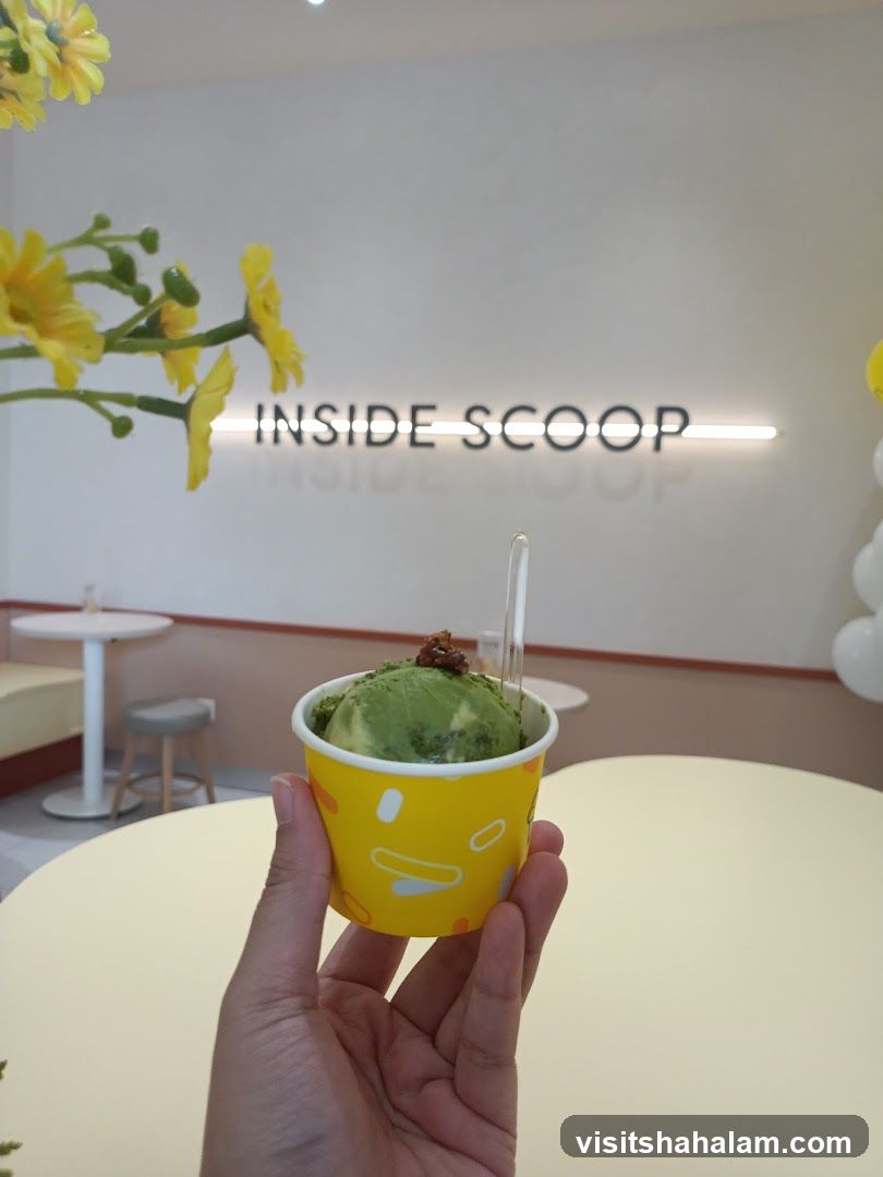 Ice Cream Cup
