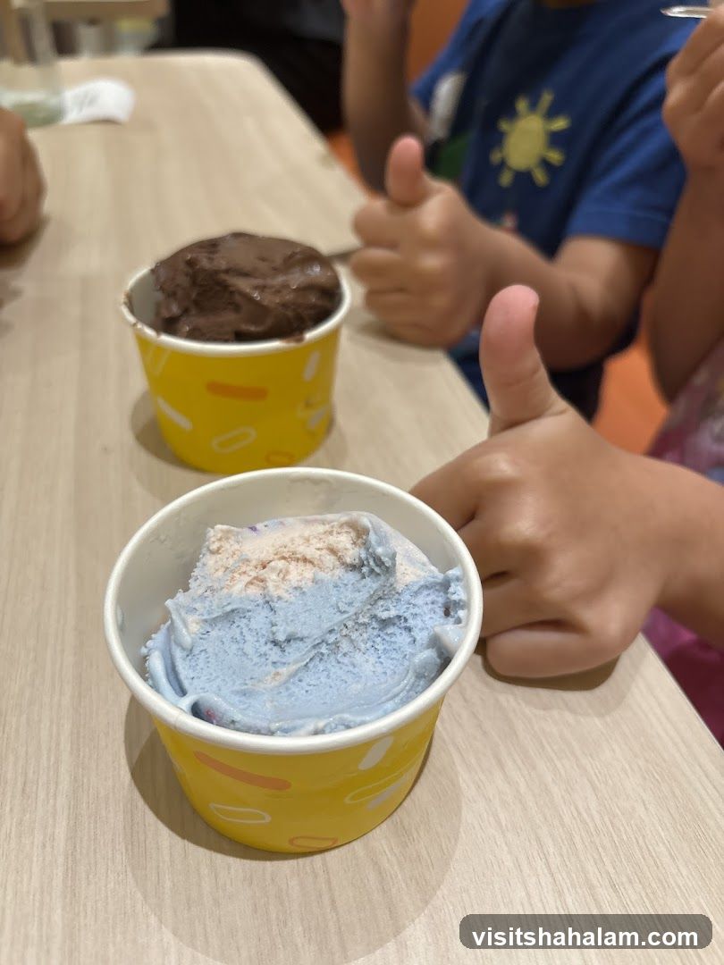 Ice Cream Cups