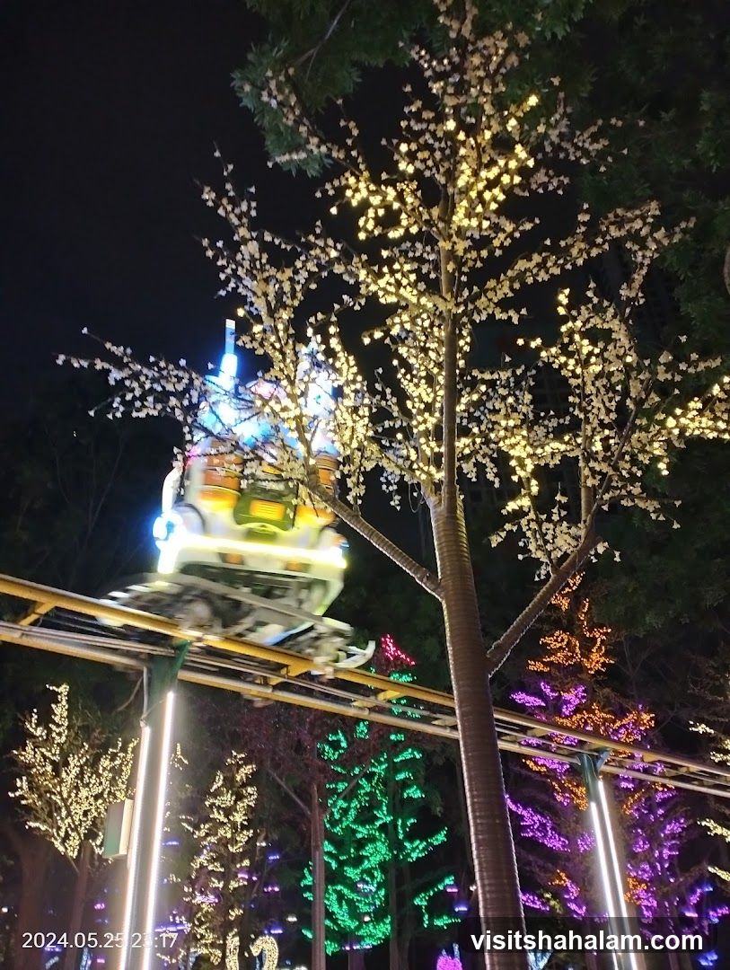 A roller coaster car is in motion on a track at night, illuminated by colorful lights. The surrounding trees are decorated with strings of white, green, purple, and orange lights, creating a festive atmosphere. The image is dated 2024.05.25 23:17.