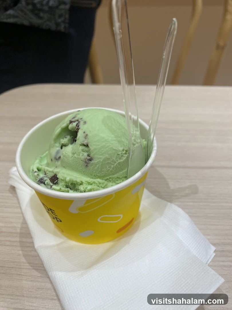 Mint Chocolate Chip Ice Cream