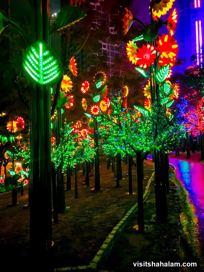 Illuminated Garden Display
