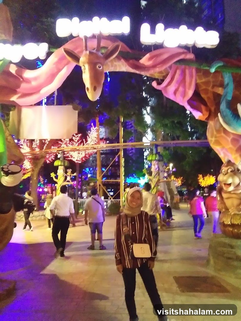 Digital Lights Attraction