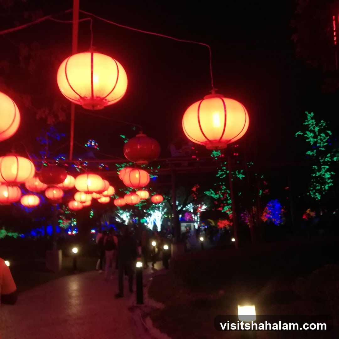 Lanterns at Night