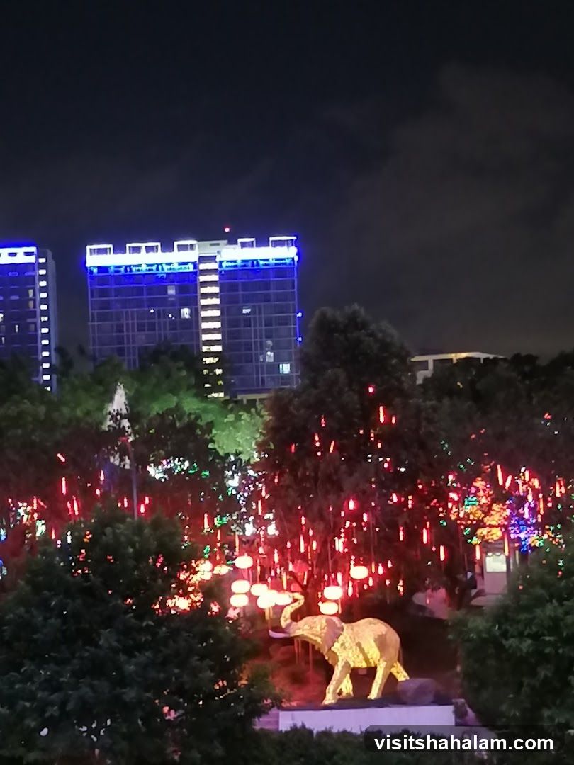 Nighttime park with illuminated decorations