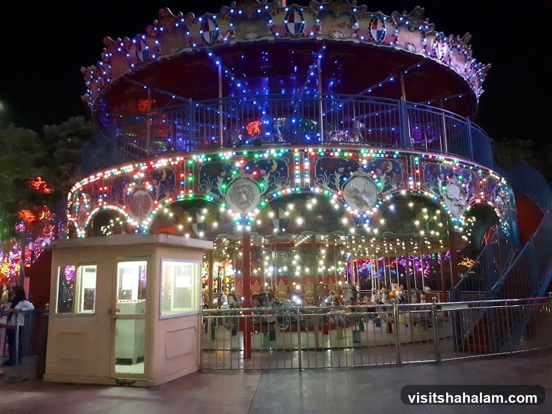 Carousel at Night