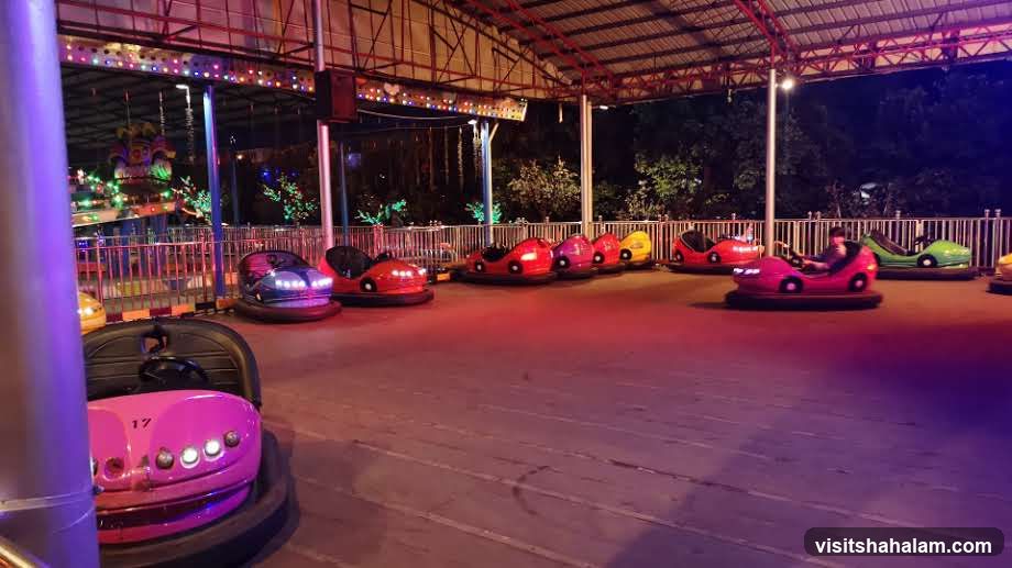 Bumper Cars Ride