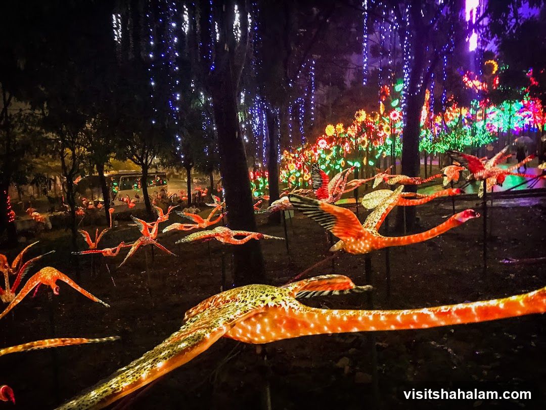 Light Festival with Flamingo Sculptures