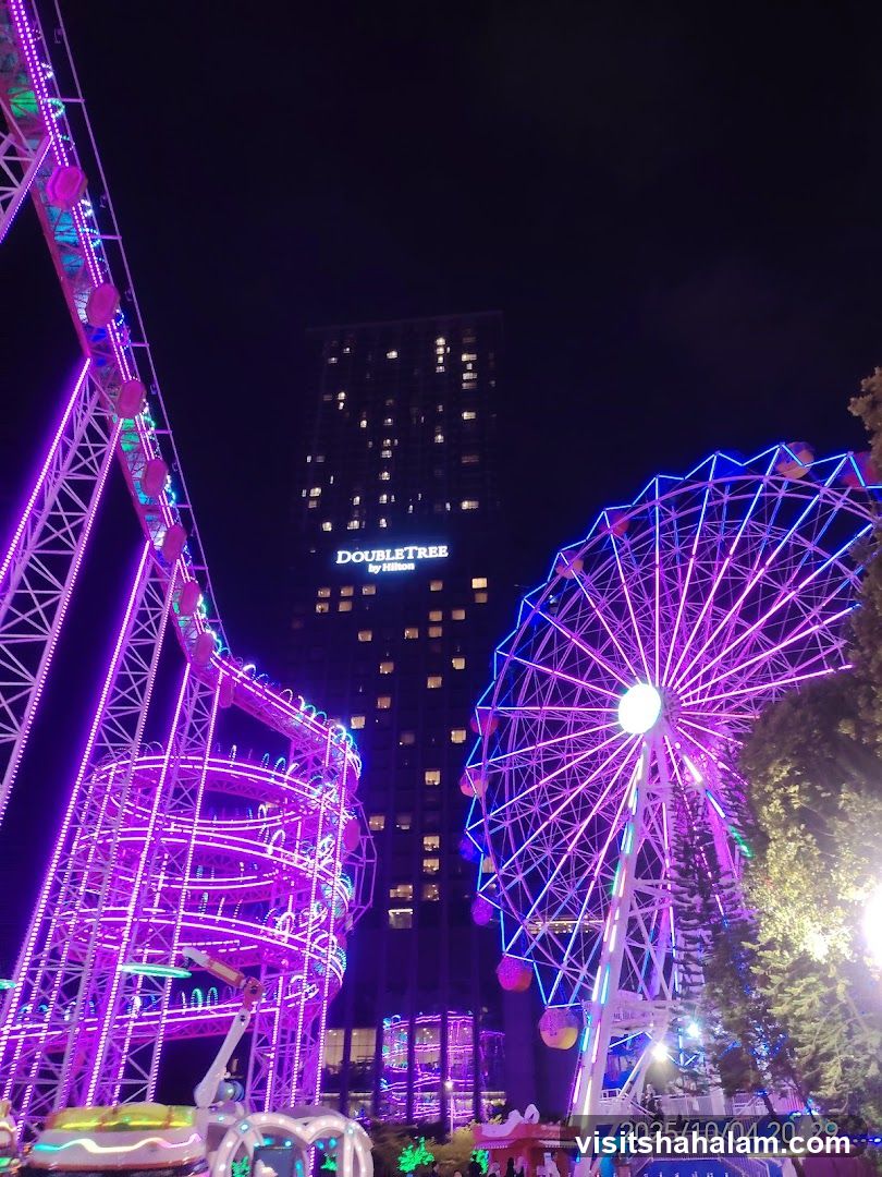 Amusement Park at Night