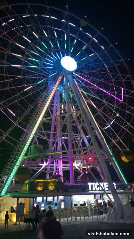 Ferris Wheel at Night