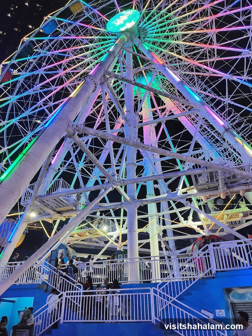 Ferris Wheel at Night
