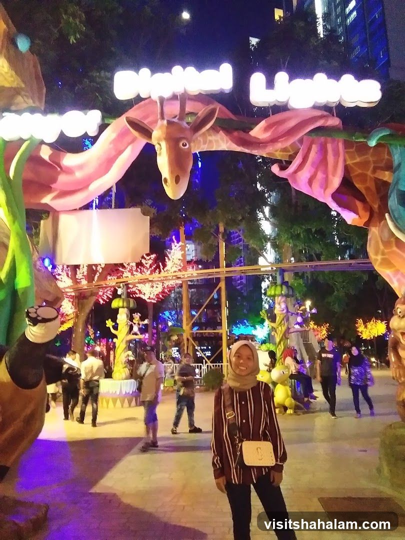 Digital Lights Attraction