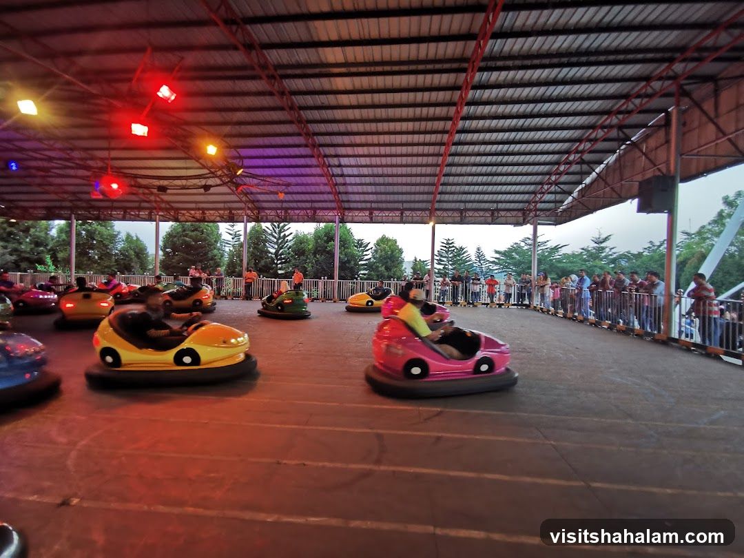 Bumper Cars Ride