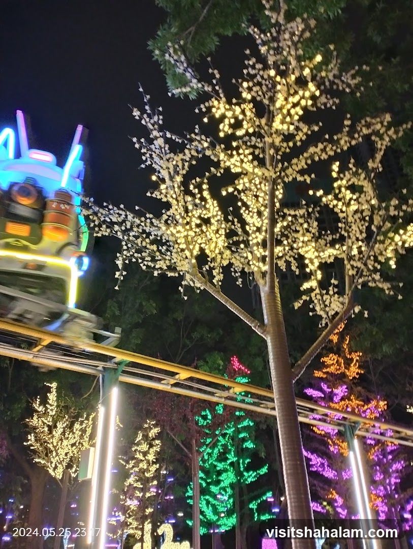 Amusement Park at Night