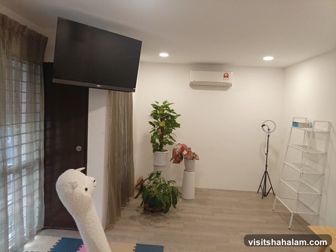 Room with TV and plants