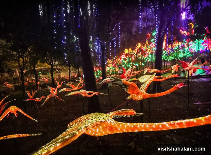 Flamingo Light Display