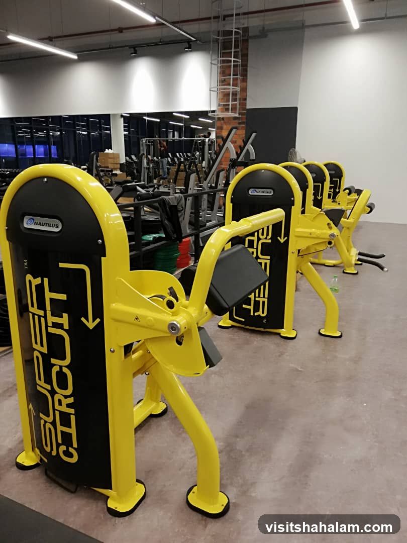 Gym Equipment