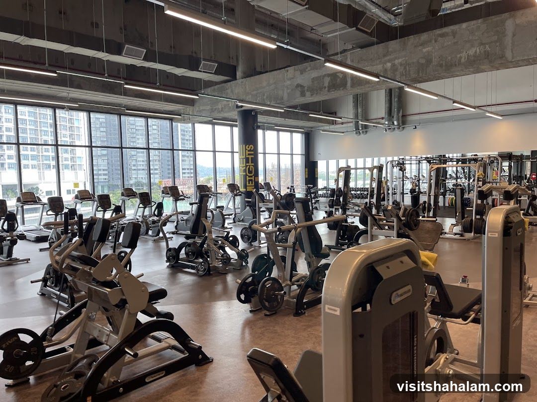 Gym Interior