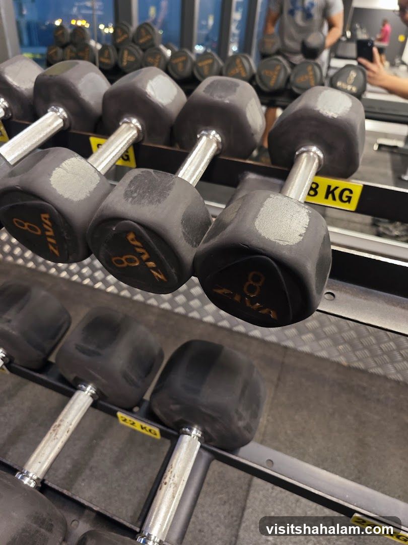 Dumbbells on Rack