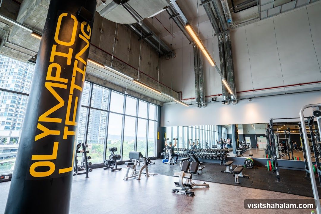 Gym Interior with Weightlifting Equipment
