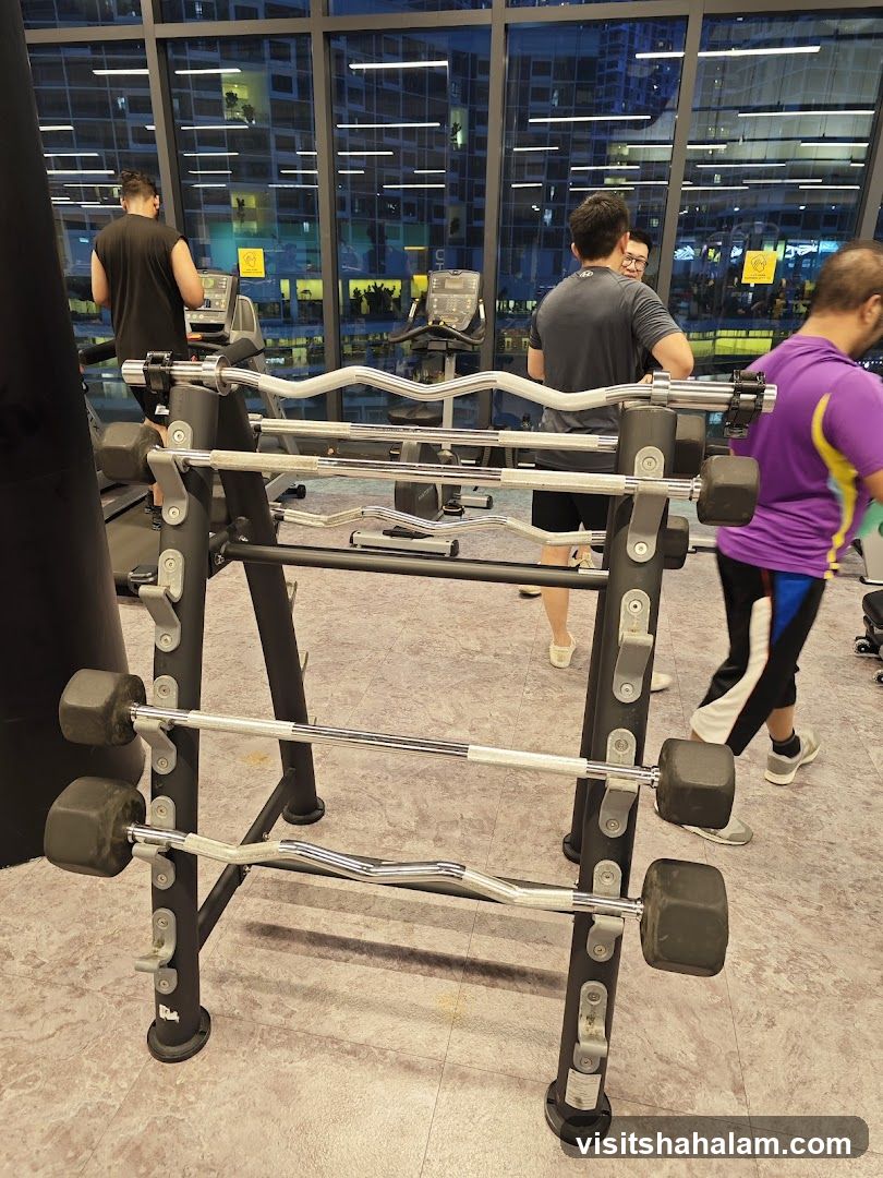 Gym Interior with Weight Racks and Treadmills