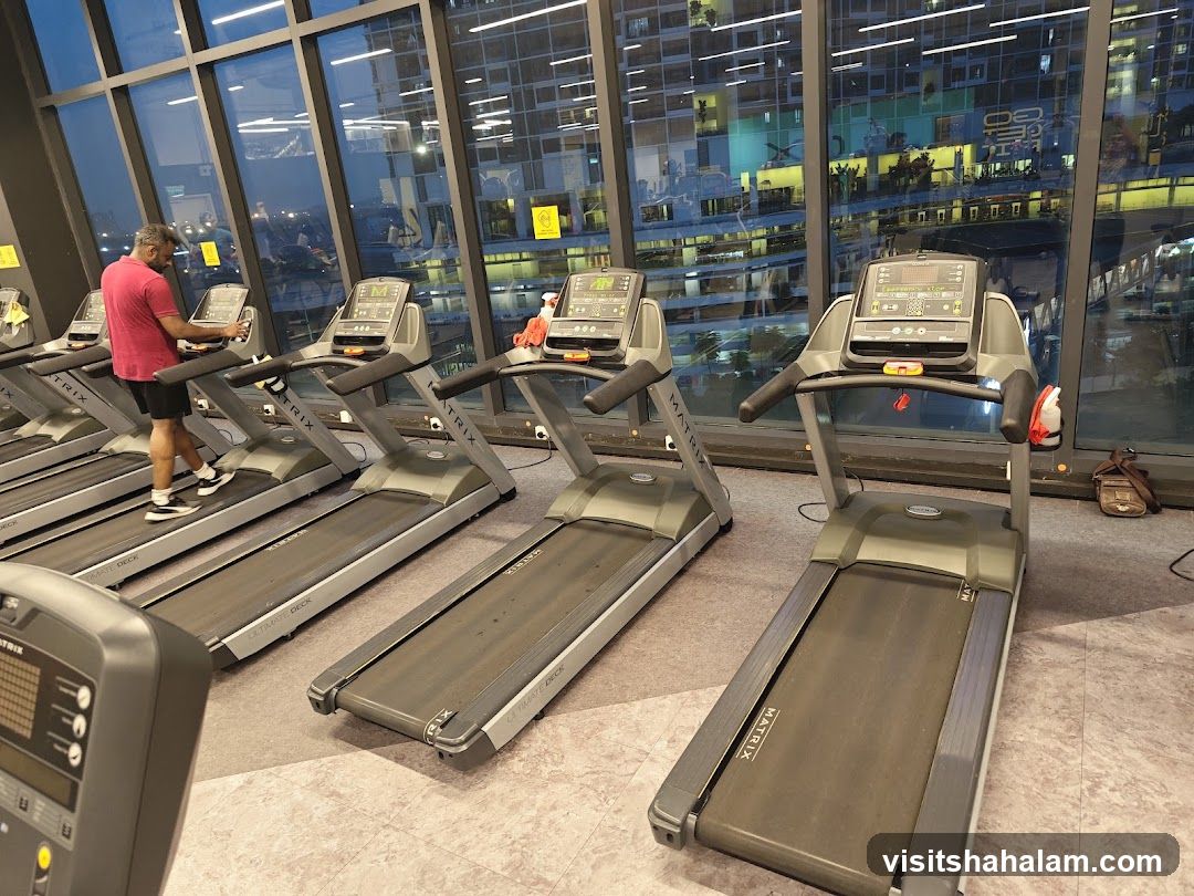 Gym Treadmills