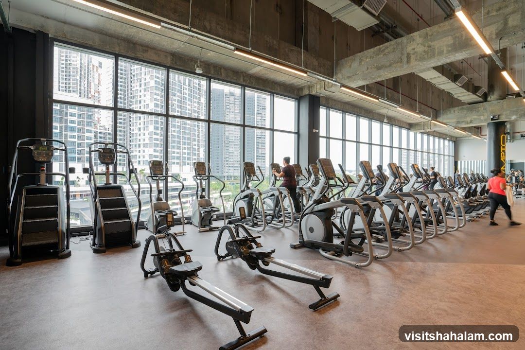 Gym Interior with Cardio Equipment