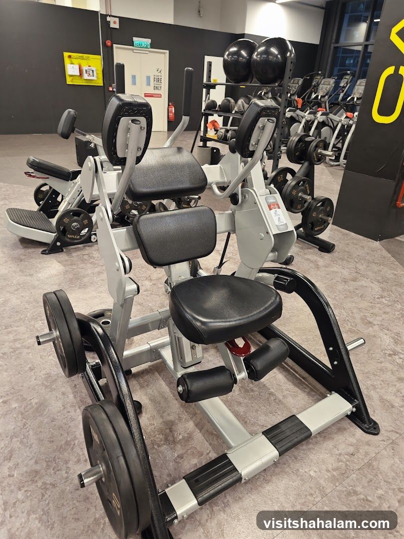 Gym Equipment