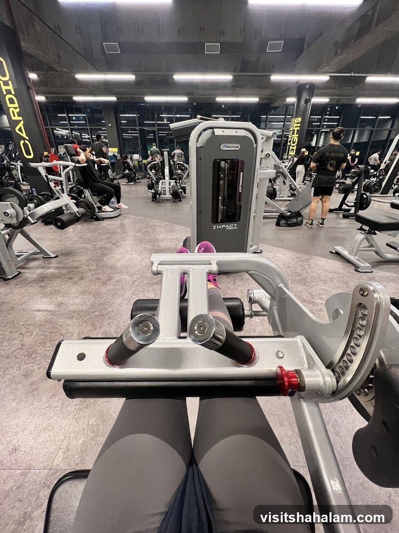 Gym Interior