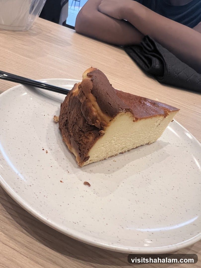 Burnt Cheesecake Slice