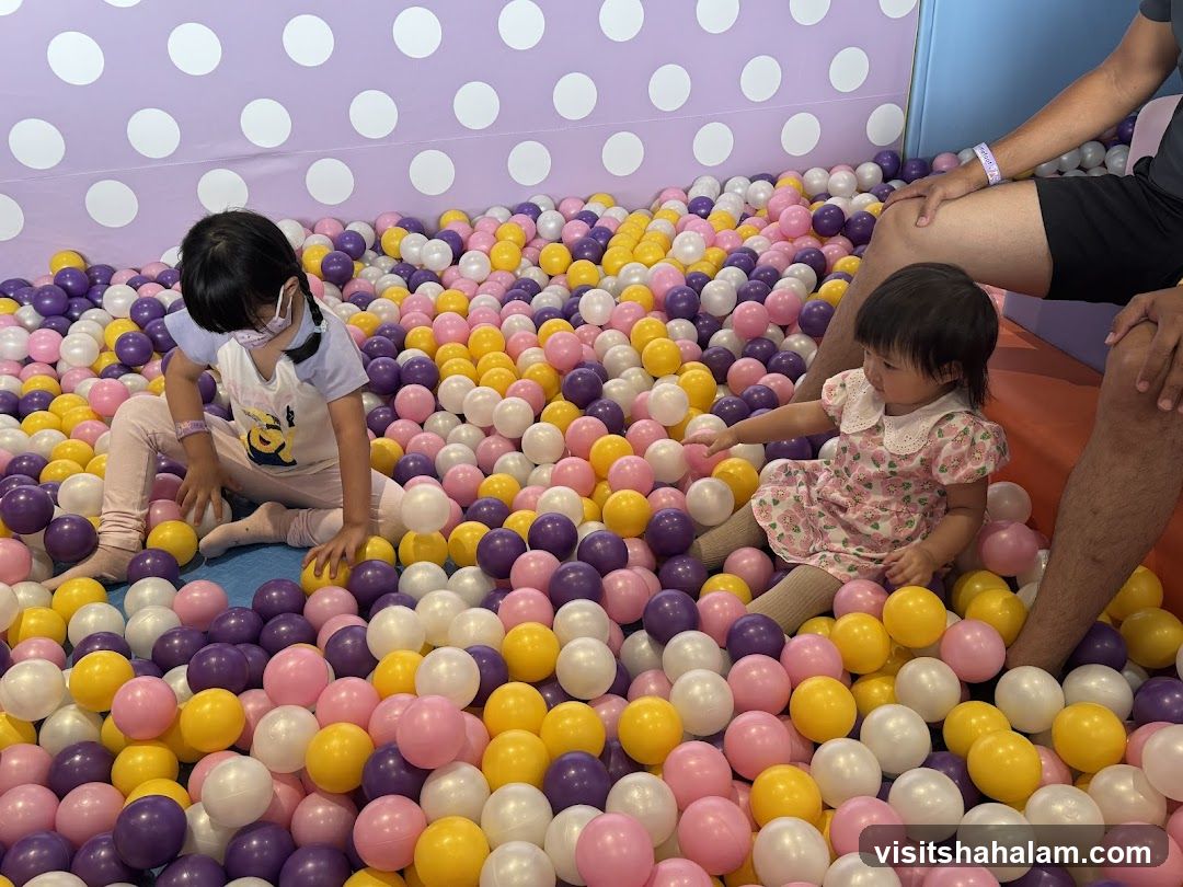Children Playing in Ball Pit
