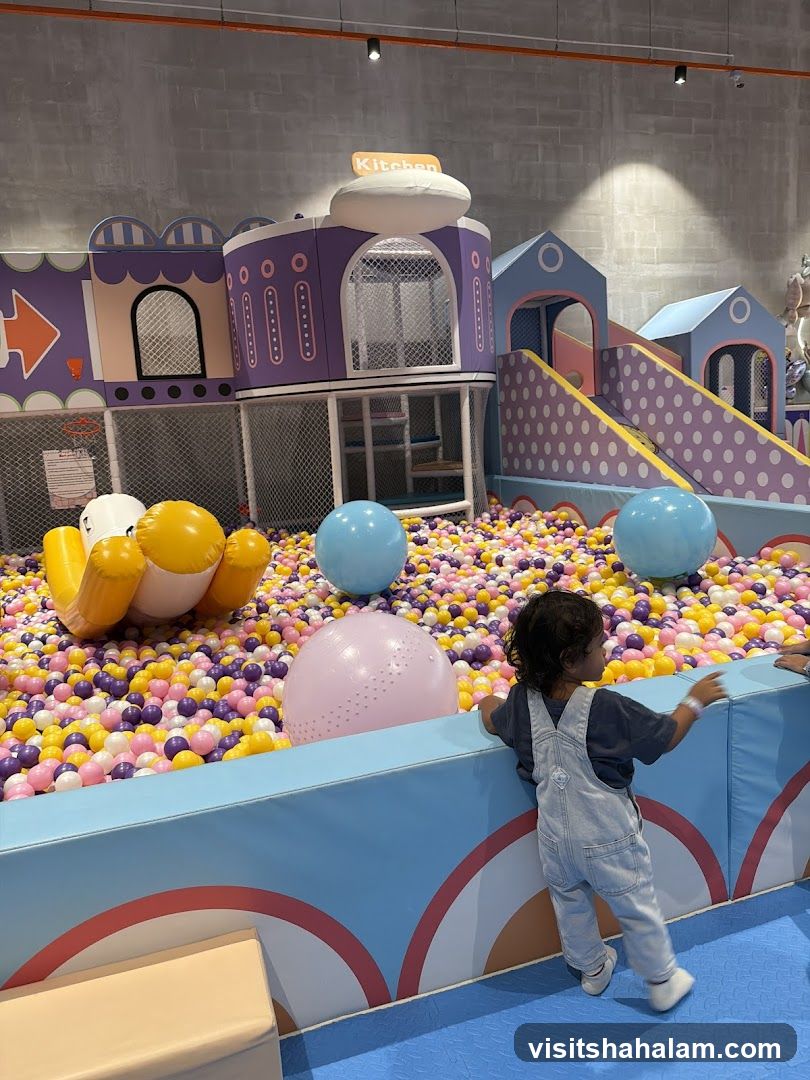 Indoor Playground