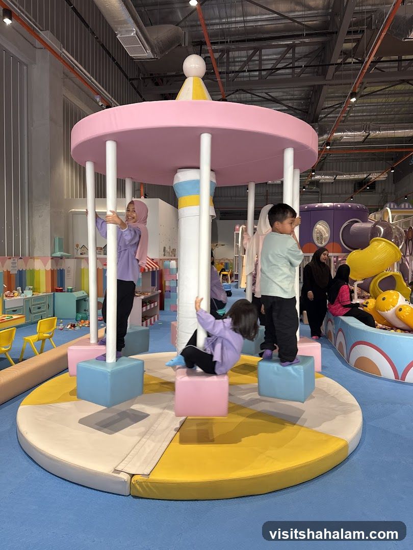 Indoor Playground Carousel