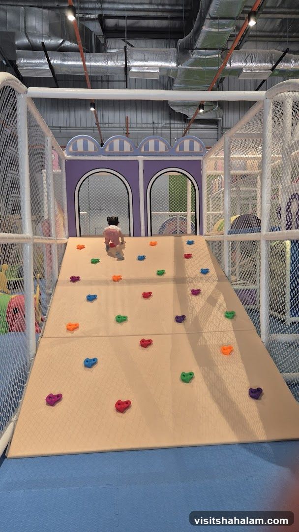 Indoor Playground Climbing Wall