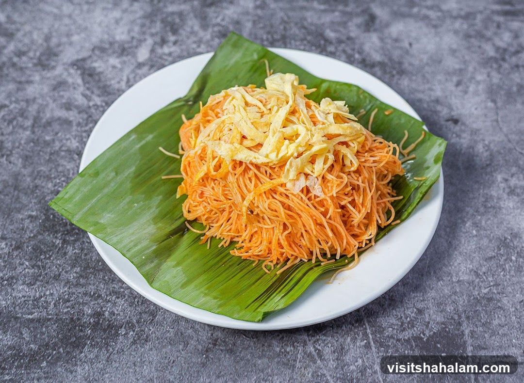Noodles with Egg Garnish