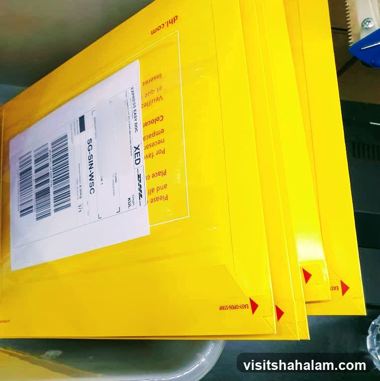 DHL Express Envelopes