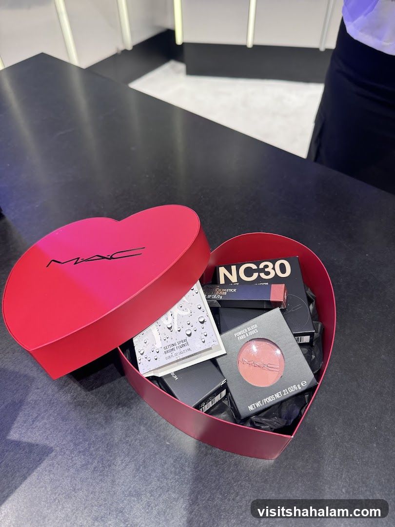 MAC Cosmetics Gift Box