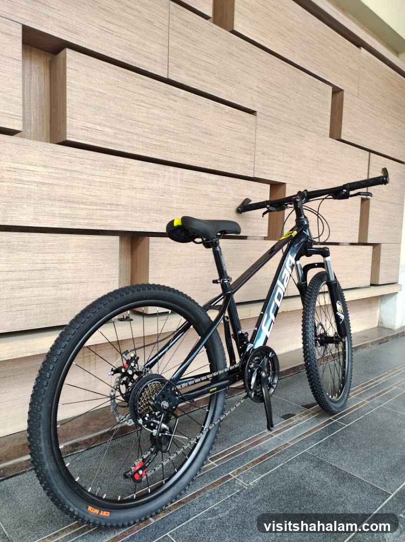 Black Mountain Bike