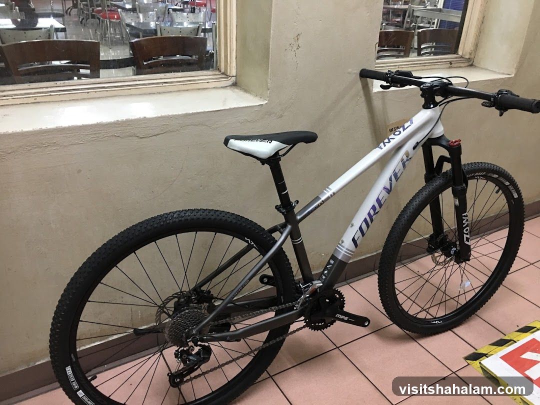 Bicycle