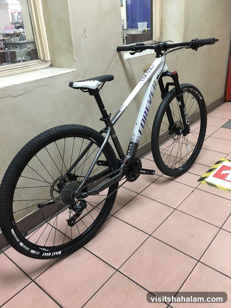 Mountain Bike