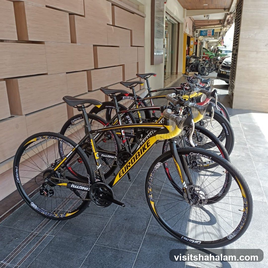 Bicycles for Sale