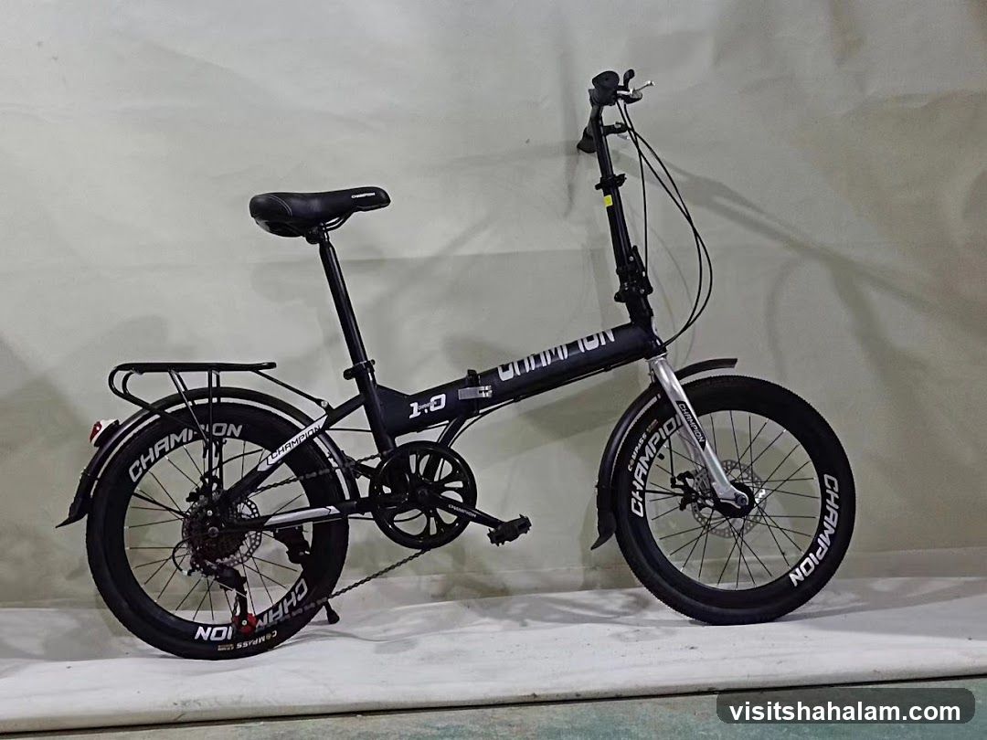 Folding Bicycle
