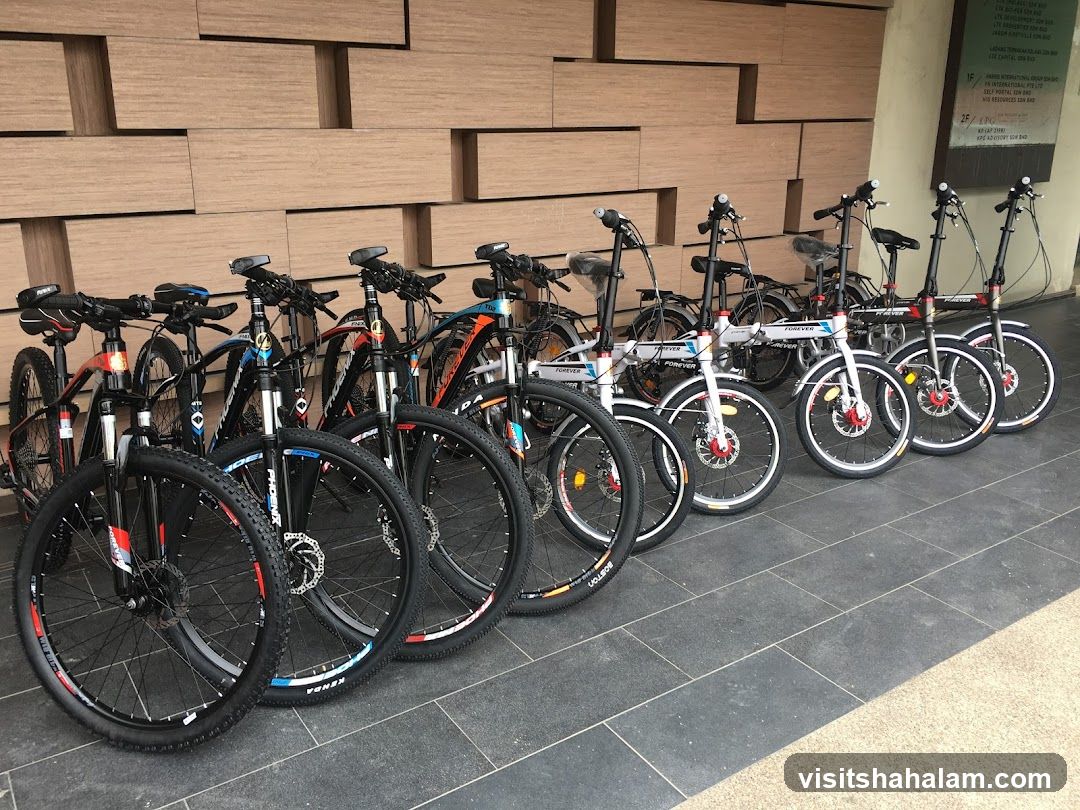 Bicycles for Rent or Sale