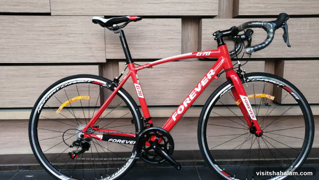 Red Forever G70 Road Bike