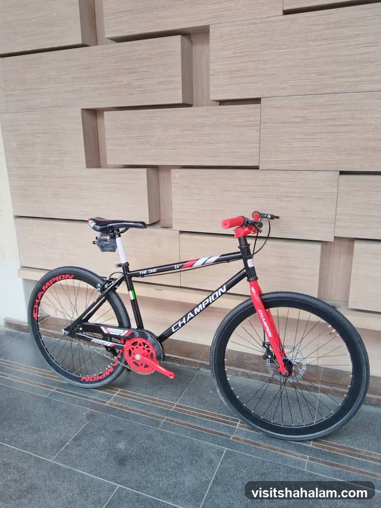 Bicycle